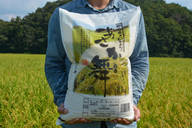 ★新米★冷めてもおいしい！令和8年産 あさか舞 コシヒカリ 10kg｜【普通精米】｜注文後に精米して発送！｜ファミリー向け！｜福島県郡山市のブランド米｜エコファーマー認定