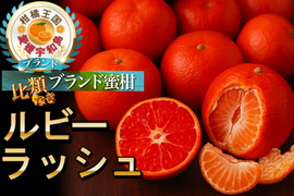 🍊日本一赤いみかんルビーラッシュ🍊この時期でしか味わえない期間限定みかん🍊傾斜35度を誇る絶壁で実る希少な宇和島ブランド☆お試しキャンペーン約1kg【家庭用・贈答用】【冬ギフト】