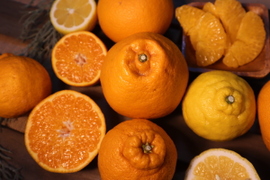 旬の柑橘で味比べ！柑橘セット【5kg箱】