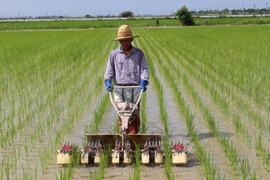 新米】🌸🌸🌸肥料・農薬不使用30年間『神の力』白米1kg：佐賀県産のお