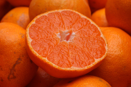 完熟！有田みかん 1kg 【わけあり】