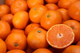 【冬ギフト】農家直送！有田みかん2kg≪Lサイズ 秀品≫【平武農園】～蛍飛ぶ町から旬の便り～　和歌山｜有田｜田口｜ギフト｜こだわり　産地直送　お取り寄せ