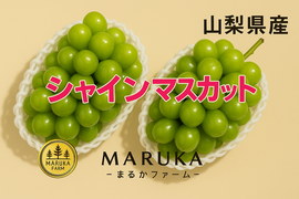 🍇【山梨県笛吹市産】プレミアムシャインマスカット 約3kg🍇 ～芳醇な甘みと爽やかな香り、贅沢なひとときを～