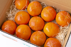 予約開始‼︎【限定200セット】秋のフルーツの王様!　富有柿 産地直送 贈答用 3kg (9個〜12個) 熨斗対応可