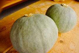 北海道産　農薬不使用【雪化粧】5キロ