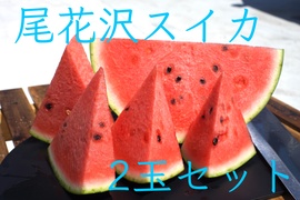 【夏ギフト】あま〜い！尾花沢スイカ８kg２玉
