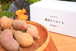 《化粧箱ver》【熟成さつまいも3種食べ比べ】種類別の蜜溢れる贅沢なさつまいも〈厳選〉安納芋・紅はるか・安納黄金（3kg）🍠🍯高級感のある化粧箱にひとつひとつ紙に包んでお届け【冬ギフト】熨斗OK