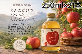 【長野県産りんご100%】長野県山ノ内町産　田畑さんちの　りんごジュース　250ml 21本