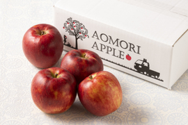 【クール便】～🍎青森りんごを直送🍎～ご自宅用リンゴ『サンつがる』３Kg 　９個から１１個入り