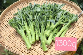 茎ブロッコリー　1300g ＆プチヴェール　450g　 from 名水の里　神奈川県秦野市