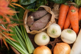 【旬のお野菜セット】使い慣れた定番野菜を中心に、農薬や化学肥料に頼らずにゆっくり元気に育った野菜をお届けします！