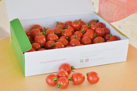 新商品トマト★キラキラ輝く　きらり♪(1kg)
