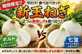 【旬を丸ごと！】淡路島直送・新玉ねぎ2種（七宝＆ボルト）満喫BOX　10kg（サイズ混合）