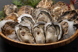 ◆◆広島・江田島直送◆復活の殻付き牡蠣（加熱用）◆加熱用
困難を乗り越えた「魂の江田島牡蠣　　牡蠣好き必見！ 旬の味を堪能できる牡蠣◆