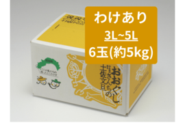 【訳あり文旦大玉6玉（3-5L）】日本で一番みかんと暮らしてる私たちにお任せください！土佐文旦！
