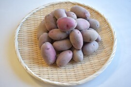 和らぎ農法　じゃがいも　春じゃがレッドムーン便（約2.5kg）