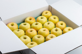 【りんご：とき】黄色いりんごの代表！特大14～10個程度（5kg程度）