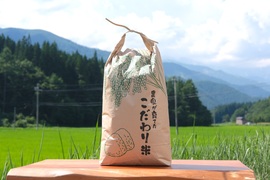 【令和7年新米】白馬村産新米コシヒカリ 10kg｜令和3年金賞受賞歴あり・信州認証米（数量限定）