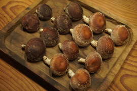山育ち『原木椎茸』500g