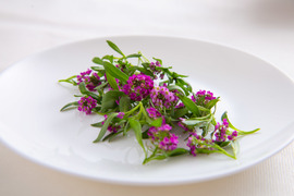 ルッコラに似た味！花も葉も茎も食べれるアリッサム・ディープピンク