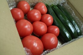 トマトと規格外ズッキーニセット　約1.5㎏