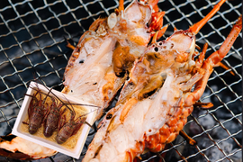 【生冷凍】宮崎産天然伊勢海老｜鮮度そのまま（2kg）