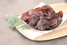 プリプリ肉厚な生きくらげ