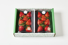 【東京・練馬産】完熟収穫のほしうらら 250g x 2p