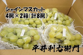 【冷蔵便】商品代＆送料がお得な商品！！【総重量5kg以上！】平井利右衛門の青ぶどう(シャインマスカット/8房)