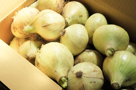 兵庫あんしんブランド認証！新鮮！淡路島産玉ねぎ10kg