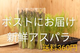 Lサイズ 700 g  お手軽ポストに新鮮採りたてアスパラ