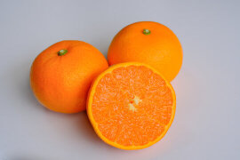 大トロ せとか5kg