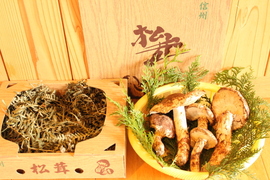 南信州産 松茸 ご家庭用 (300g)：長野県産のマツタケ｜食べチョク