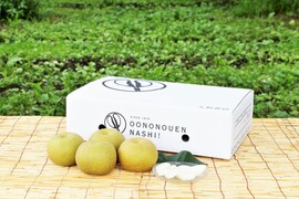 当園の和梨で人気ナンバー１の特大「豊水」9~6個程度（5kg程度）