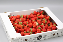 小粒＆変形加工用傷ありいちご1kg！ジャムやスイーツ作りにどうぞ♪