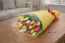 ラッピングチューリップ　20本束（花色おまかせ）　　※北海道・沖縄県配送不可※