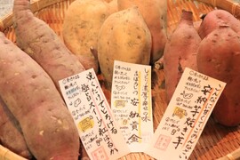 【熟成さつまいも人気3種類食べ比べ】　〈厳選〉安納芋・紅はるか・安納黄金（3kg）溢れ出る種類別の蜜を贅沢に🍯🍠焼き芋にオススメ。お歳暮、クリスマスプレゼントにも🎁熨斗OK！【冬ギフト】