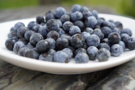 【福袋】冷凍ブルーベリー500ｇと冷やして食べるブルーベリーバターどらやき4個セット