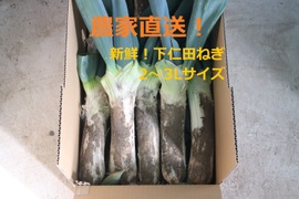 【冬ギフト】お買得！《2L～3Lサイズ 22本前後》お蚕さまも手伝う「泥付き下仁田ねぎ」4.8kg【福袋】