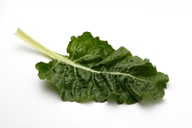 スイスチャード（白）500g