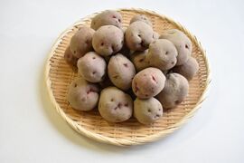 和らぎ農法　じゃがいも　秋じゃがアンデスレッド便（約2.5kg）