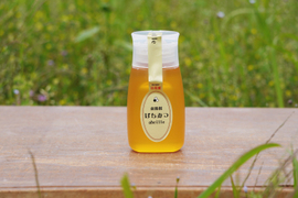 蜂蜜　２０２5年採蜜したて！南箱根の非加熱はちみつプラボトルタイプ300g