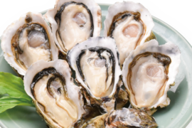 ≪数量限定≫広島県産  生食用 殻付かき「かき小町」特大サイズ ハーフシェル ３個入｜大粒で身入り抜群 夏でも安心の広島ブランド牡蠣【かなわ】