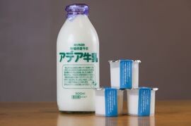 【専用商品】【4種乳酸菌!!】低温殺菌アデア牛乳の里山のヨーグルト（小）　５個入り