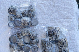 沖縄伝統野菜『田芋』親芋小芋セット