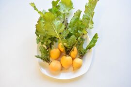 和らぎ農法　黄金かぶ（2～6個）