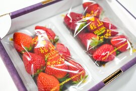 【食べ比べ】【いばらキッス・やよいひめ】茨城県産いちご 2パック×１箱
「食べチョクいちごグランプリ2026 」味わい部門「ザ・ジューシー賞」受賞【やよいひめ】含む