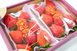 「食べチョクいちごグランプリ2026 」味わい部門「ザ・ジューシー賞」受賞【やよいひめ】(特大DX) 茨城県産 いちご ２パック×1箱