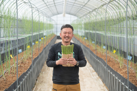 香川県産アスパラガス『さぬきのめざめ』Lサイズ１㌔