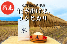 令和8年長野県松本市産『はざ掛け米』コシヒカリ(5kg 送料別)